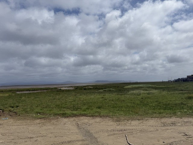 View across Willapa Bay near Oysterville, WA