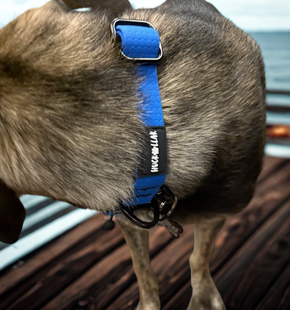 Huckollar™ Hurkules Cobra Buckle Dog Collar (Heavy Duty for Large Dogs)