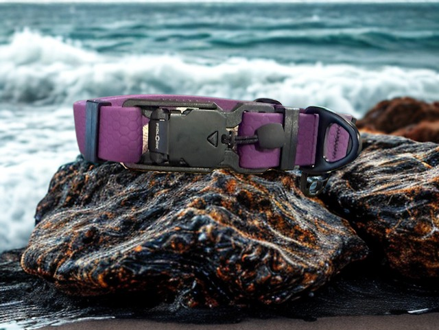 fidlock magnetic dog collar on dog outdoor use
lightweight waterproof dog collar everyday wear
dog collar magnetic buckle close up fidlock
durable dog collar beach water use