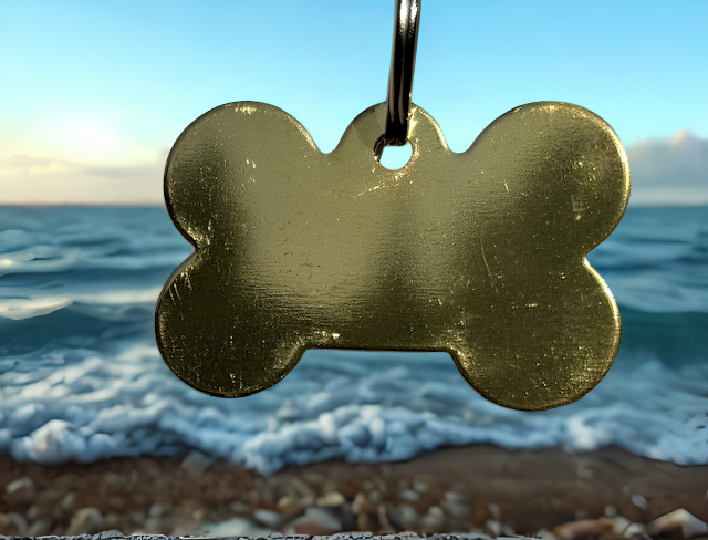 Laser Engraved ID Tag