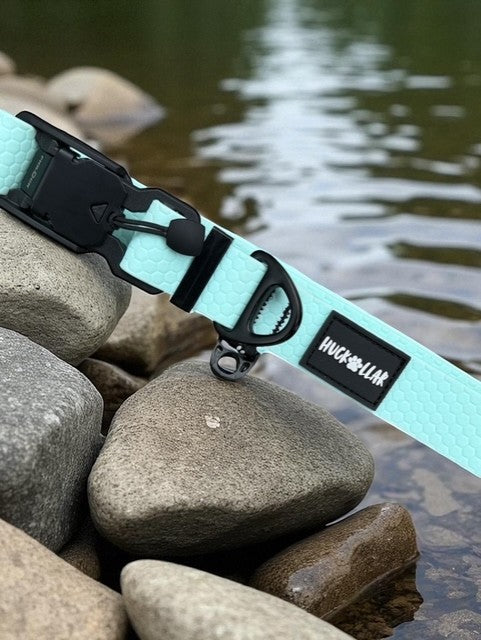 fidlock magnetic dog collar on dog outdoor use
lightweight waterproof dog collar everyday wear
dog collar magnetic buckle close up fidlock
durable dog collar beach water use