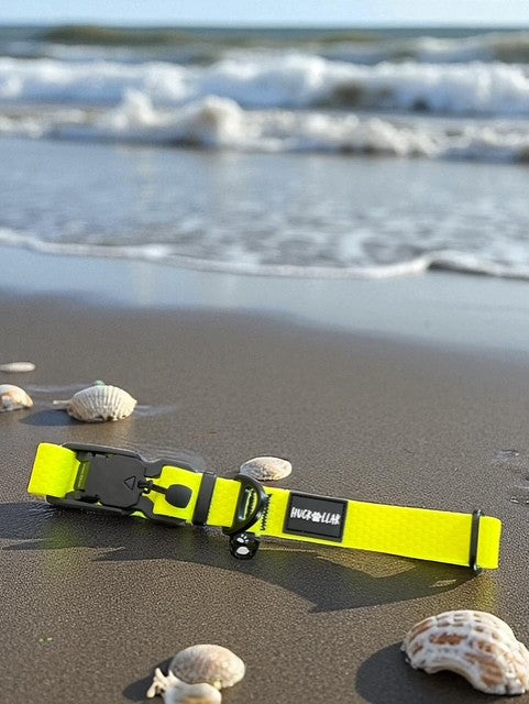 fidlock magnetic dog collar on dog outdoor use
lightweight waterproof dog collar everyday wear
dog collar magnetic buckle close up fidlock
durable dog collar beach water use