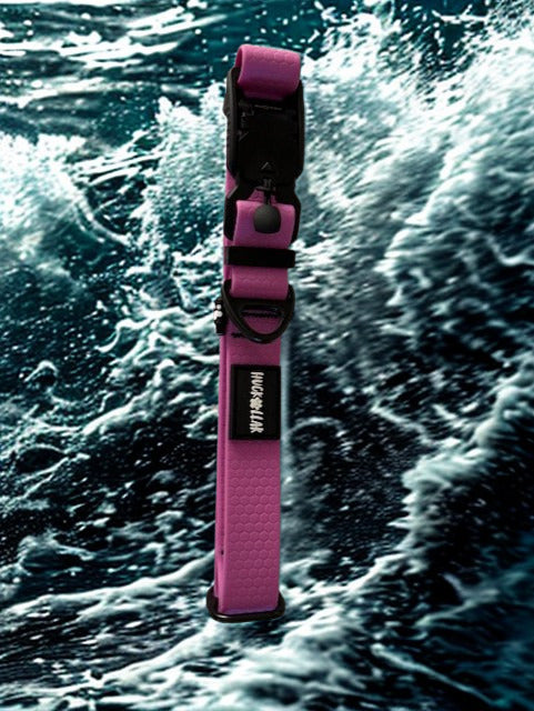 fidlock magnetic dog collar on dog outdoor use
lightweight waterproof dog collar everyday wear
dog collar magnetic buckle close up fidlock
durable dog collar beach water use